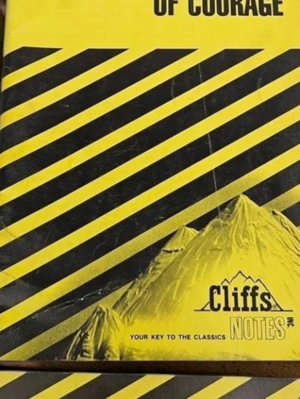 Vintage Cliffs Notes Booklets Set of 9 – Classic Literature Study Guides